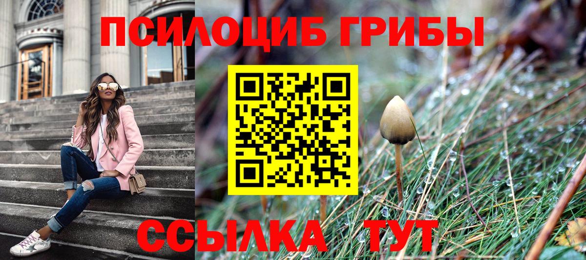 Галлюциногенные грибы мицелий  Вход с VPN  Донецк 